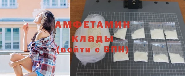 прущие крисы Бородино