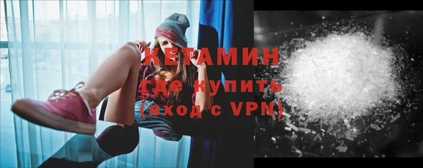 индика Богородицк