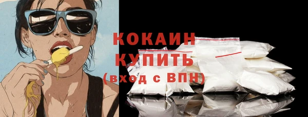 индика Богородицк