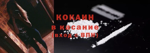 индика Богородицк