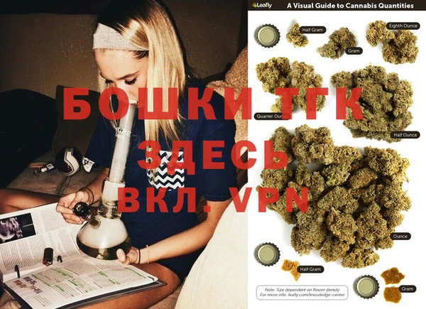 индика Богородицк